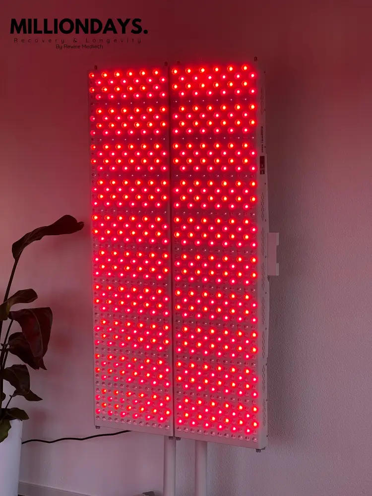 Dremenia Comfort Bild 4