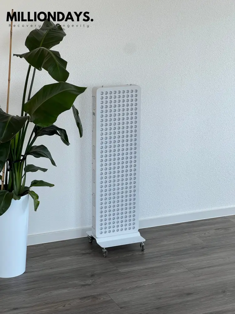 Dremenia Comfort Bild 2